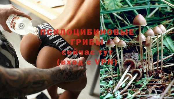 скорость mdpv Волоколамск