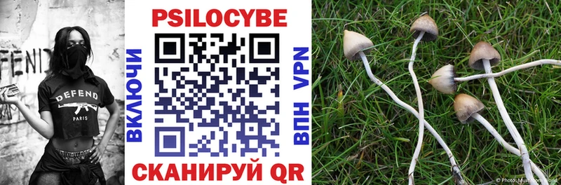 Галлюциногенные грибы MAGIC MUSHROOMS  Лысьва 